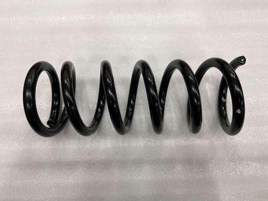 Rear Coil Spring Assembly