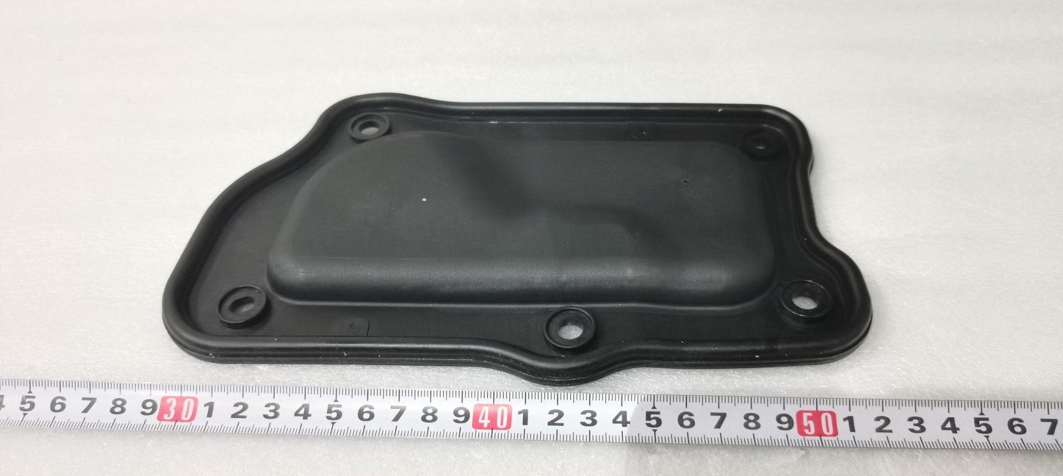 Right Rear Door Seal Plug II