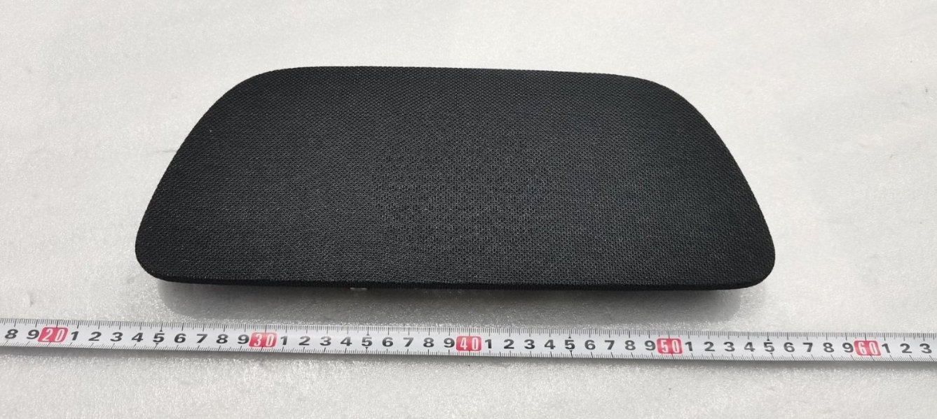 Center Speaker Grille Assembly
