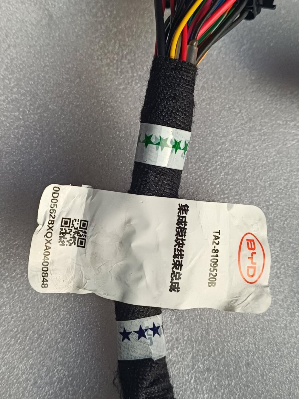 Integrated Module Wiring Harness Assembly