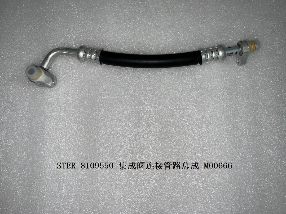 Integrated Valve Connection Line Assembly