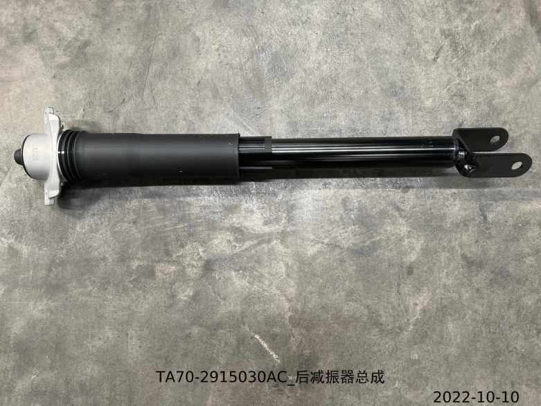 Rear Shock Absorber Assembly