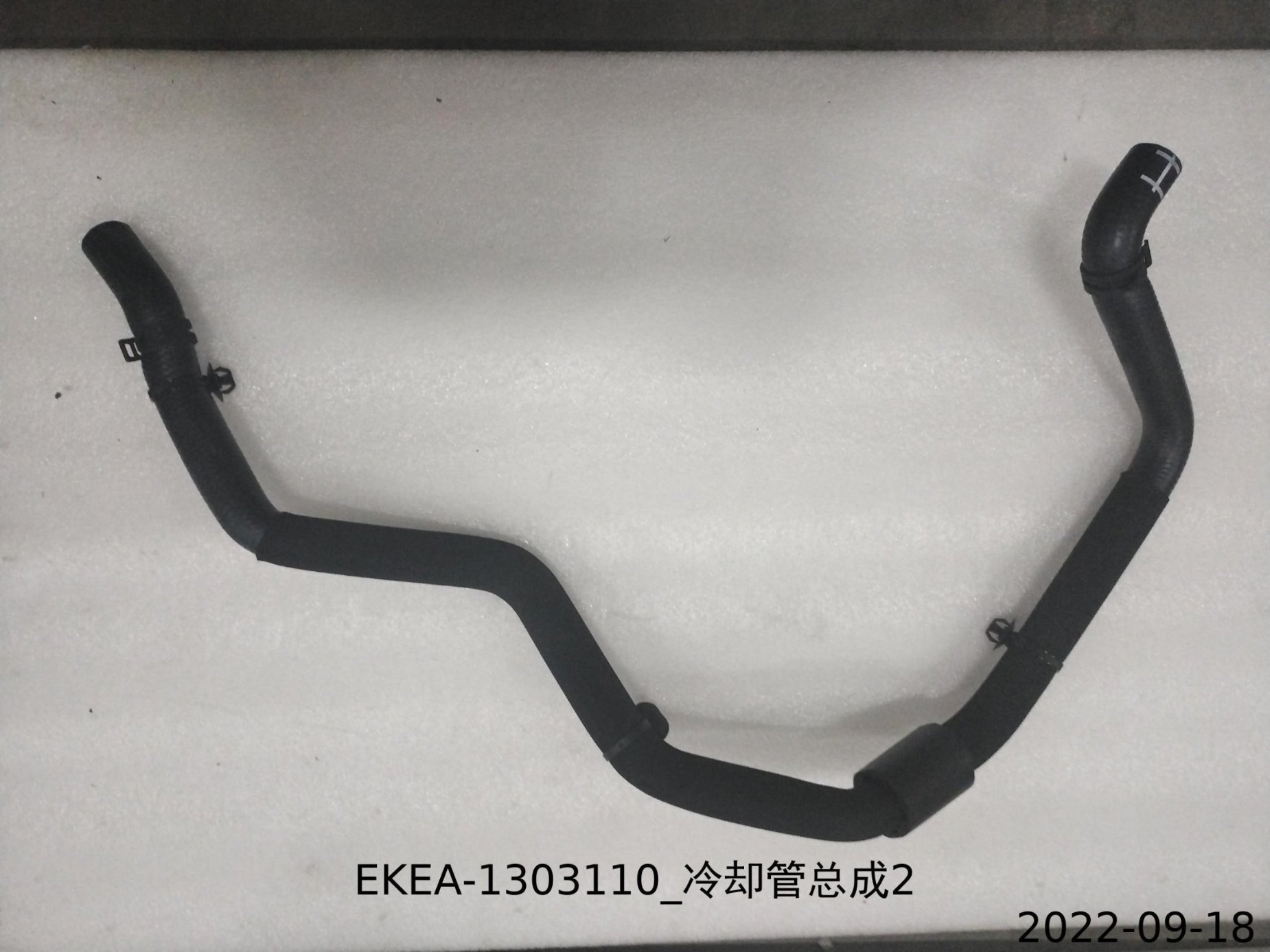 Coolant Pipe Assembly 2_M00000