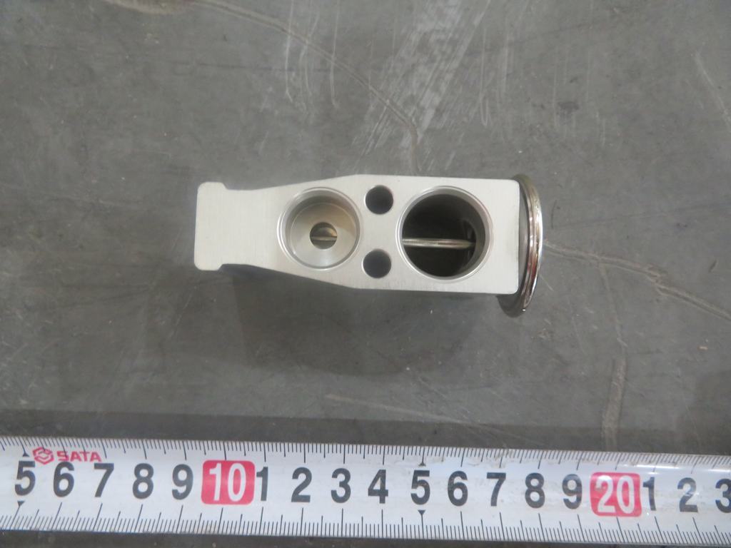 HCHS-8106100 Expansion Valve