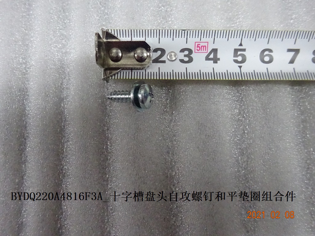 Cross Recessed Pan Head Self-Tapping Screw with Flat Washer Assembly