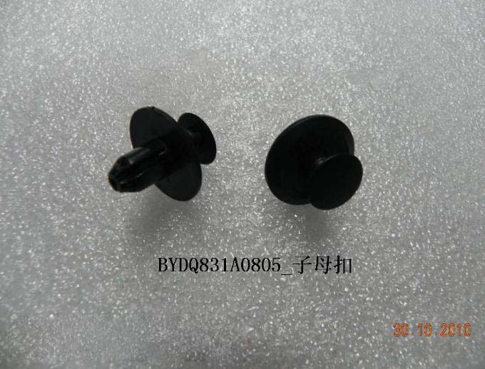 Snap Fastener